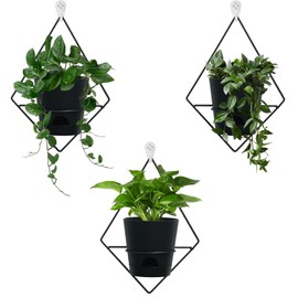 Koalaime Koalaime 3 Sets of Wall Planters for Indoor Plants, Hanging Wall Planter with Black Metal Holder, Geometric Self Watering Wall Flower Pots, Wall Mounted Succulent Planter, 5" Black Plant Pot