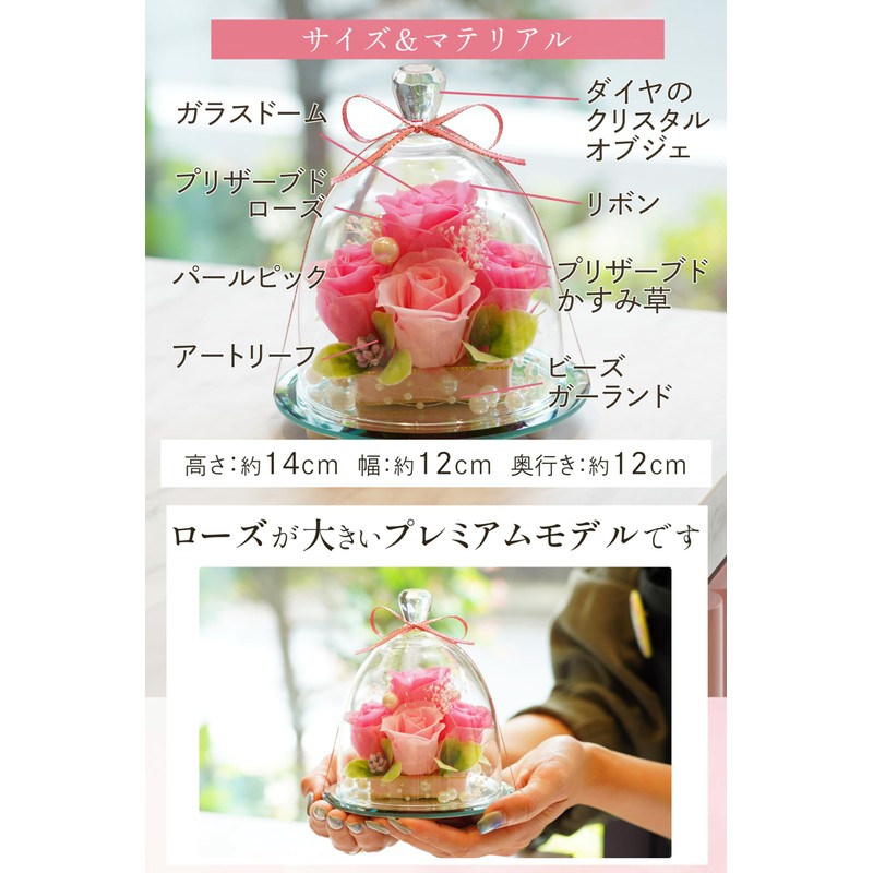 Preserved Flower IPFA Glass Dome Elegance Premium Wedding Gift Birthday