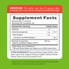 Nature's Truth Daily Probiotic Gummies | 2 Billion CFU |