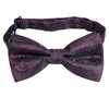 Alizeal Mens Classic Paisley Bow Tie, Hanky and Cufflinks Set,
