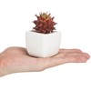 MyGift Assorted Artificial Red Succulent Plants, Mini Fake Desert Plants