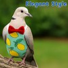 Pigeon Diaper Harness and Bird Leash, Diapers for Birds with