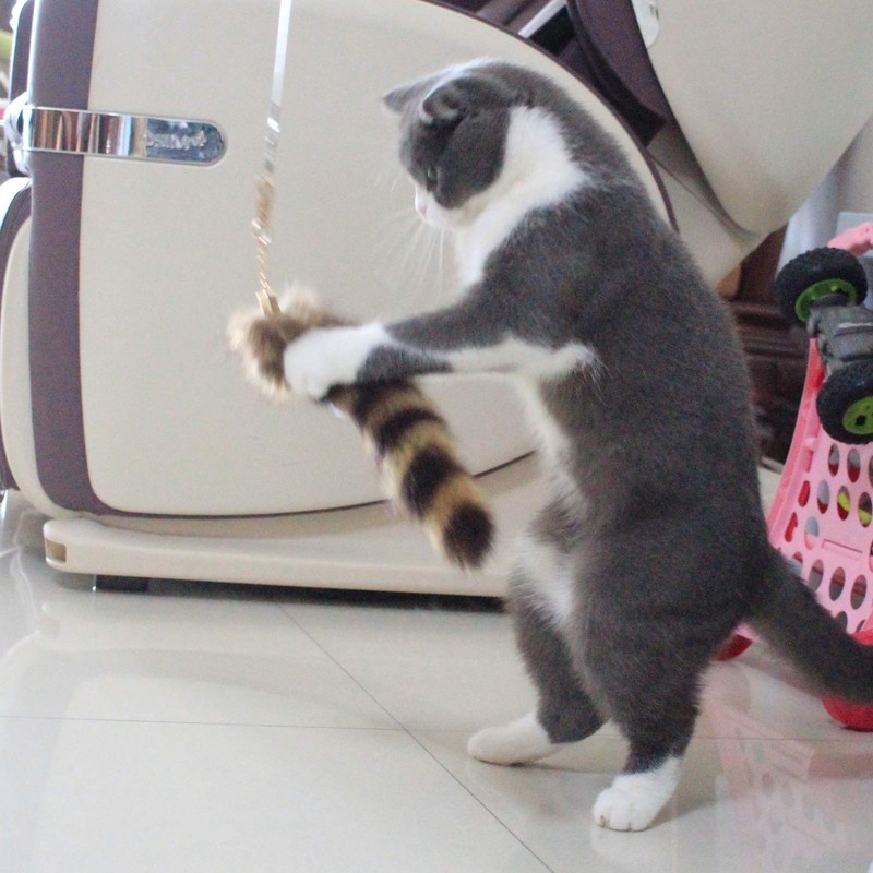 Fosrion Real Raccoon Tail Fur Cat Bites Toy with Three