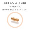 Active Supplement（アクティブサプリ） ビタミンA+D 60粒 ＜ビタミンAと栄養バランスにこだわったサプリメント＞