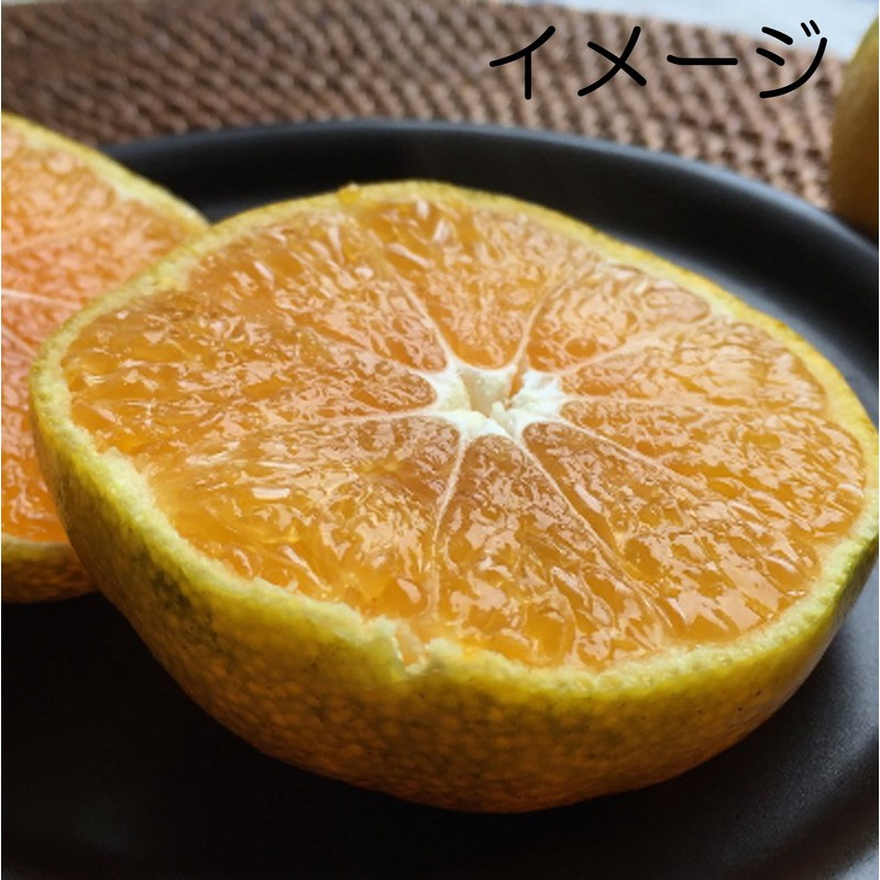 Thousand Old Burn Grandma Baked Tangerines, 40 – 35 
