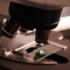 50 Pcs Pre-Cleaned Microscope Slides, 100 Pcs Cover Glasses, Prepared