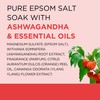 Dr Teal's Pure Epsom Salt, Ashwagandha & Essential Oils, 3