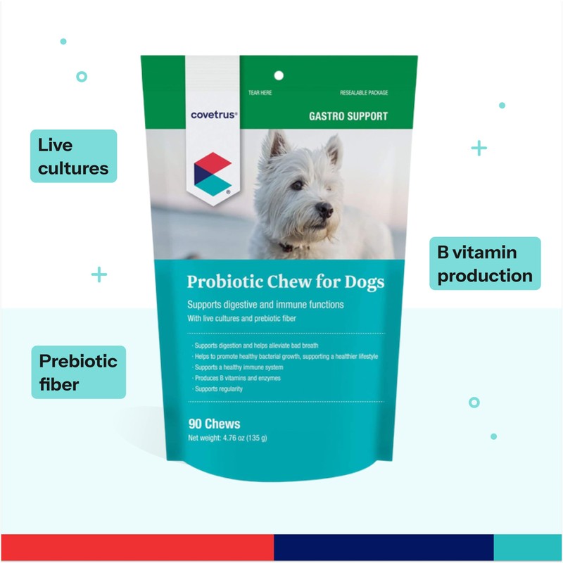 Probiotic Chew for Dogs 90ct