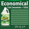OdoBan Disinfectant Concentrate and Odor Eliminator 1 Gallon + 32