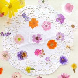 Ychsring Small Flower Stickers Set - 240 Pcs Clear PET Lace Frame Floral Stickers for Scrapbooking, Journaling, Junk Journal - Waterproof Transparent Cute Mini Aesthetic for Crafts, Scrapbook Supplies
