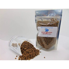 COOL BEANS N SPROUTS Beet Seeds for Sprouting Microgreens, COOL BEANS N SPROUTS - 8 ounces