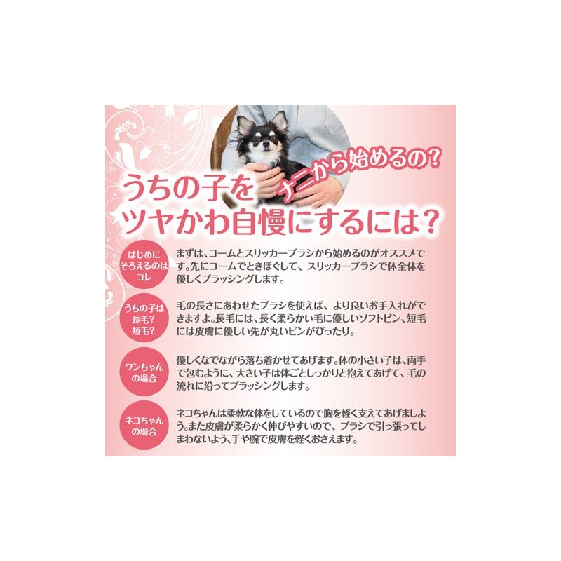 petexio (Petio) puresyante Paw purupuru Jerry G