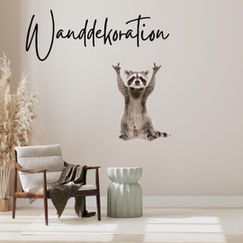 GRAZDesign Wall Tattoo Raccoon Funny Wall Sticker for Living Room and Kitchen - Animal Decoration - 54 x 40 cm
