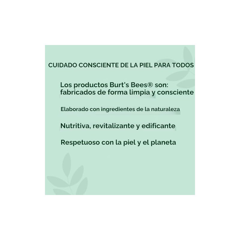 Bálsamo Labial Burt's Bees Pepino y Menta 4.25 G