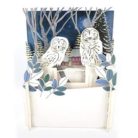 Snowy Barn Owls Surveying 3D Pop Up Christmas Greeting Card by Alljoy Cards XPOP025