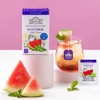 Ahmad Tea Herbal Tea, Cold Brew Watermelon & Mint Teabags,