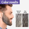 Just For Men Touch of Gray Mustache & Beard, Beard