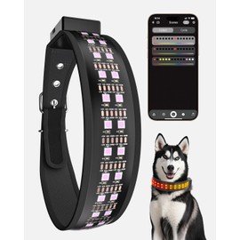 LED Dog Collar, APP Control Glowing Dog Necklace, Full Color Gamut Option 25 Light Mode, D Ring, 2600FT Visible Pet Safety Rechargeable Flash Light Up Collars for Small Medium Large Dogs