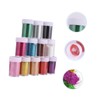 TEHAUX 12pcs Nail Art Powders Colors Glitter Sequins Manicure Glitter
