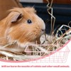 Generic Rabbit Feeder for Cages Hanging Bunny Hay Rack Holder