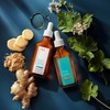 Moroccanoil Treatment for Oily Scalp, 45 ml