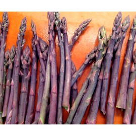 Purple Passion Asparagus Plants Crowns Roots Bare Root 50 Ea