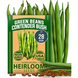 HOME GROWN Non GMO Contender Bush Bean Pack - 28 Heirloom Green Beans, Vegetable Seeds for Planting, Emergency Food Supply (Phaseolus vulgaris)