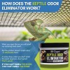 Reptile Odor Eliminator - Fresh Scent!