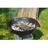 Rosenstein Söhne &Smoker for Gas and charcoal barbecues