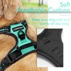 rabbitgoo Dog Harness, No-Pull Pet Harness with 2 Leash Clips,