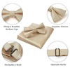 HISDERN Bow Tie Pre-Tied Men's Bow Tie with Pocket Square