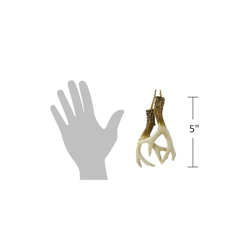The Bridge Collection Pair of Faux Deer Antlers Ornament -
