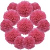 Yosawo Pack of 12 Tissue Paper Pompoms Decorative Paper Flower