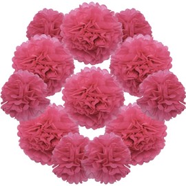 Yosawo Pack of 12 Tissue Paper Pompoms Decorative Paper Flower Pom Poms Paper for Wedding Birthday Garden Party Decoration (ZH/Rose)