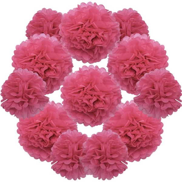Yosawo Pack of 12 Tissue Paper Pompoms Decorative Paper Flower