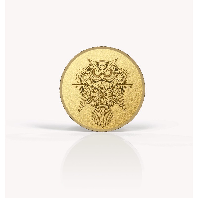 Hgnova 12 Pcs Alloy Blank Challenge Coin 40mm, 2mm Thickness