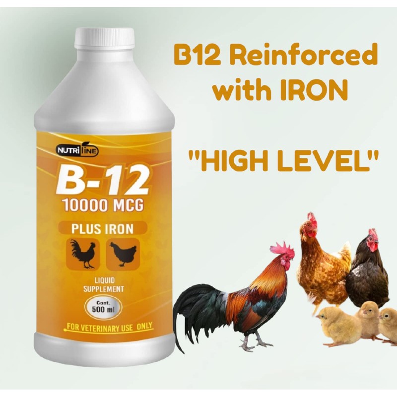 NUTRILINE B-12 for Poultry - Multivitamin Booster for Rooster, Hens,