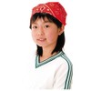 Artec 001247 Purple Bandana