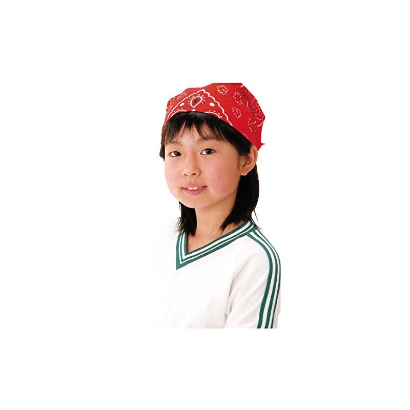 Artec 001247 Purple Bandana