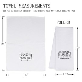 MBMSO Funny Sarcastic Gifts as Everything is Exactly The Way Dish Towel for Kitchen Décor Snarky Humor Gifts Sassy Tea Towels (Sarcastic TW)