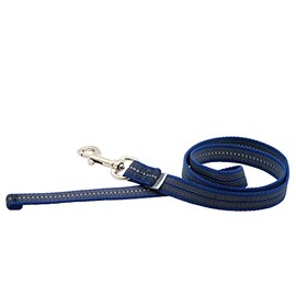 Rubberised Lead without Hand Strap - Blue, 300 cm (3 m)