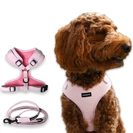 No Pull Puppy Harness and Leash Set – No Choke Neoprene Dog Harness for Extra Small Dogs (5–15lbs) Pink XS, Lightweight Breathable Mesh with Unique Heart Pattern, Adjustable Fit