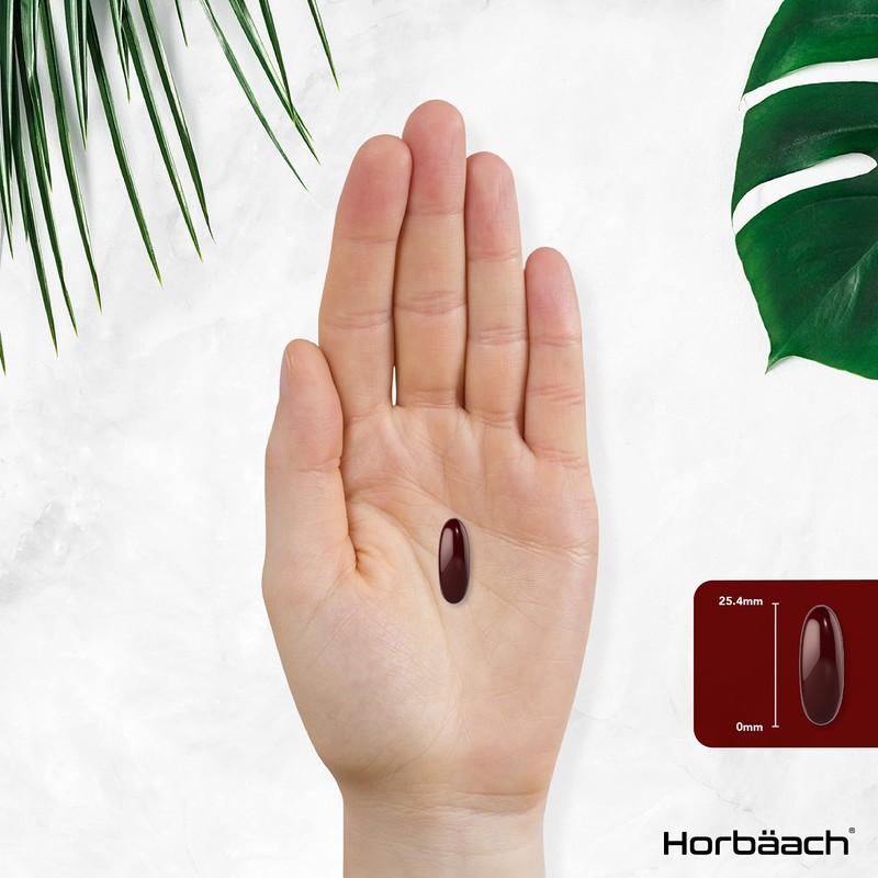 Antarctic Krill Oil 2000mg | 240 Softgel Capsules | High