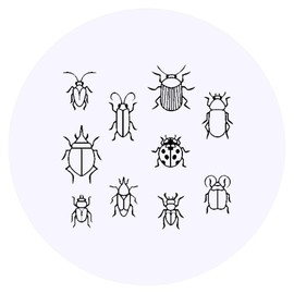 24 x 40mm Round 'Bug Pattern' Stickers (SK00015635)