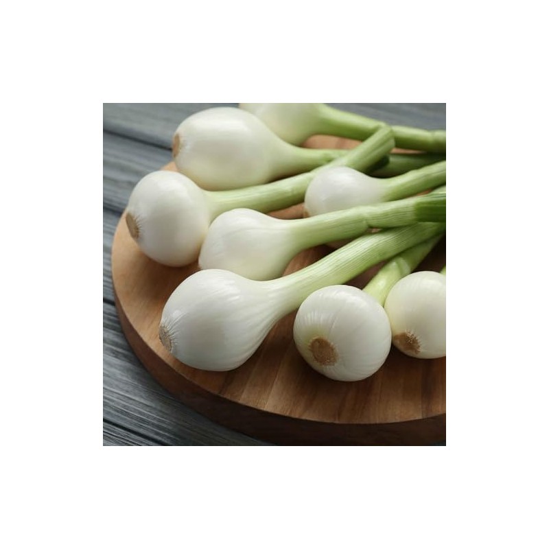 Onion Seeds (Pearl/Pickling) - Crystal White Wax - Packet -