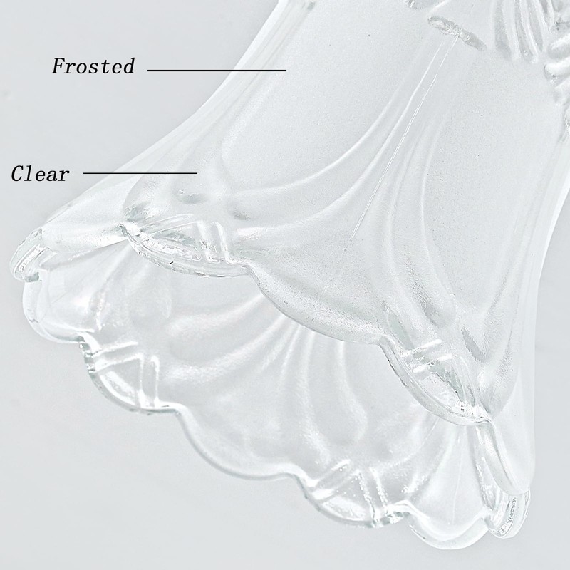 SHENGQINGTOP 4 Pack Clear & Frosted Glass Lamp Shade Replacement