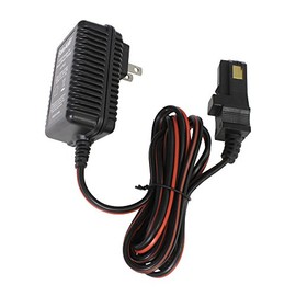 SafeAMP - Cargador para ruedas de alimentación (12 V, batería gris y batería superior naranja)