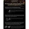 Lumineo Light Chain Switch Lights Compact Twinkle Warm White/Colourful –