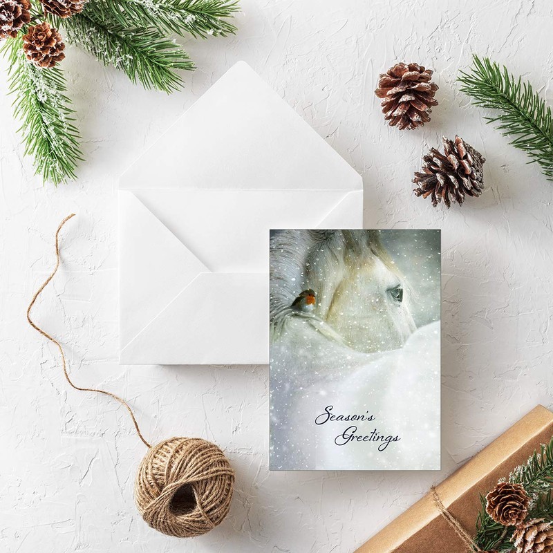 Horse Christmas Cards - Pack of 20 - Two Designs