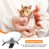 Hamster Wheel, Hermit Crab Climbing Toys Silent Running Exercise Wheel,